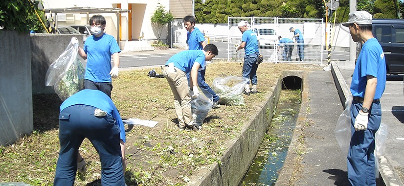 Clean-up volunteer activities